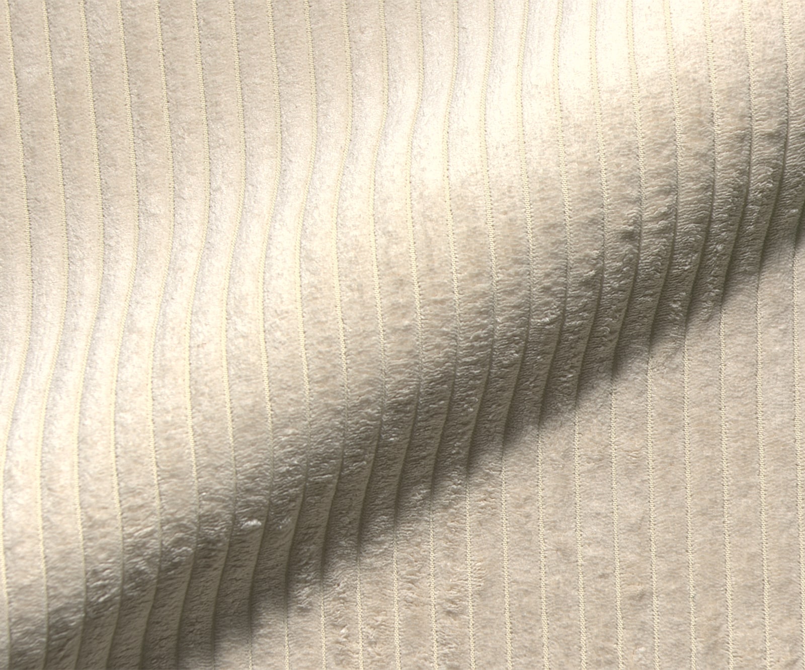 Échantillon de tissu Velours côtelé beige