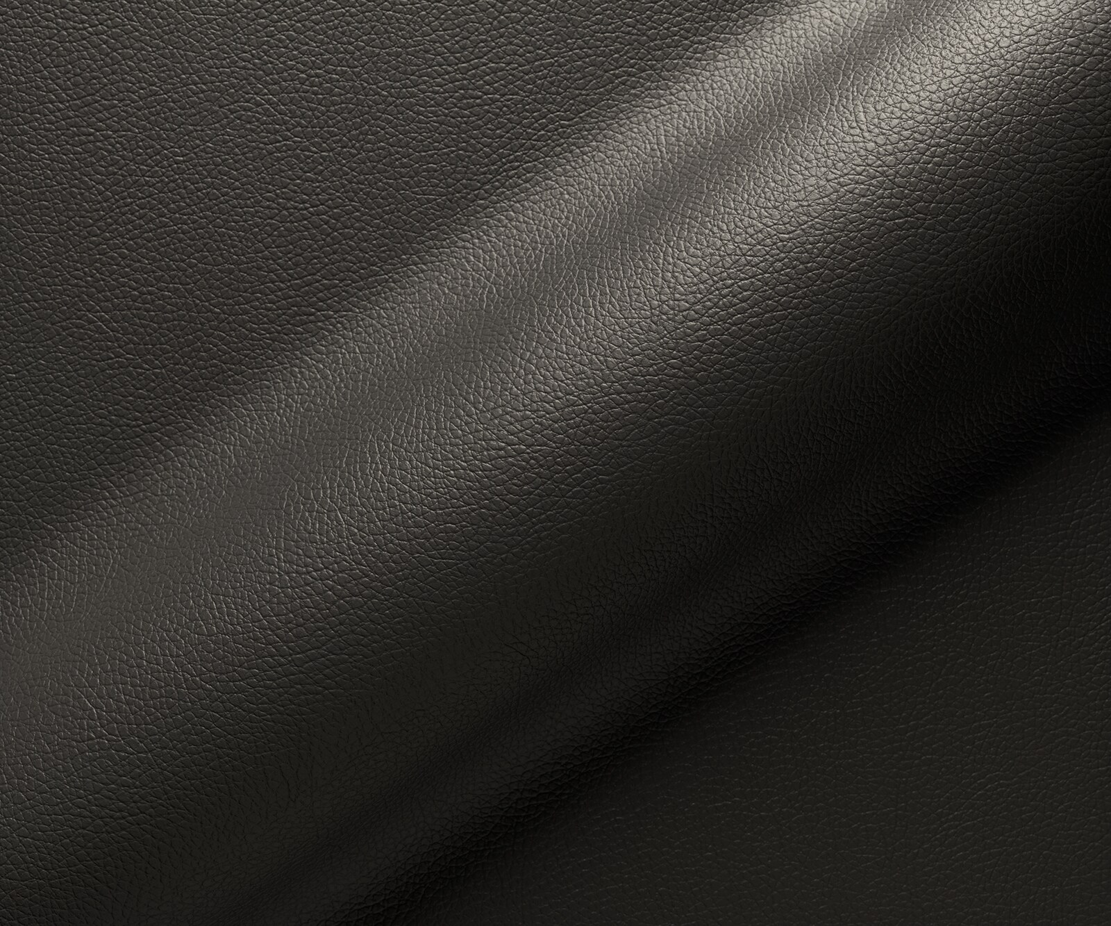 Cantilever Abelia-Flex avec accoudoirs cuir de vache noir pied cantilever rond acier inoxydable brossé 3