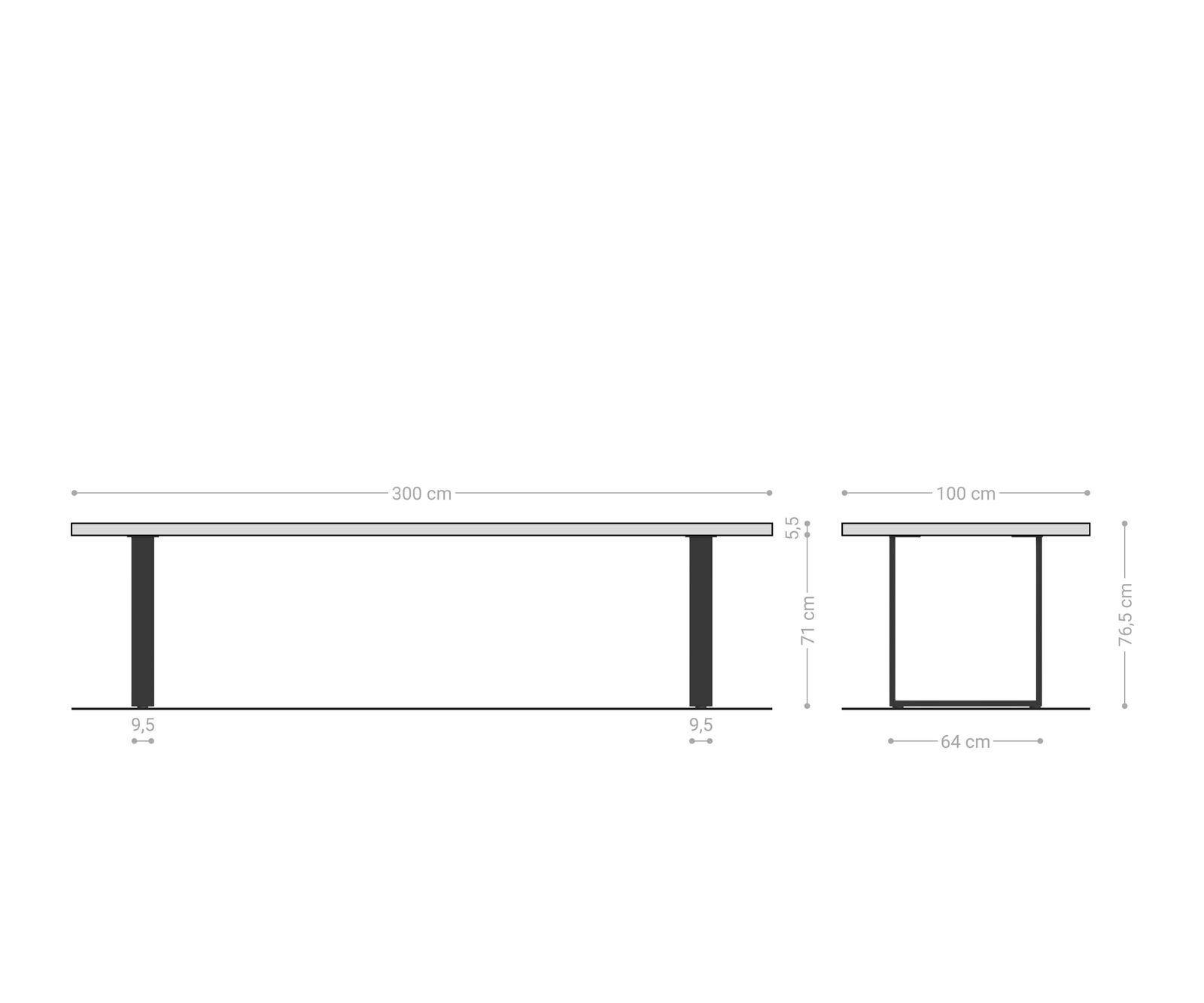 Table-à-manger Edge 300x100 XL acacia platine acier inoxydable mince Live-Edge 6